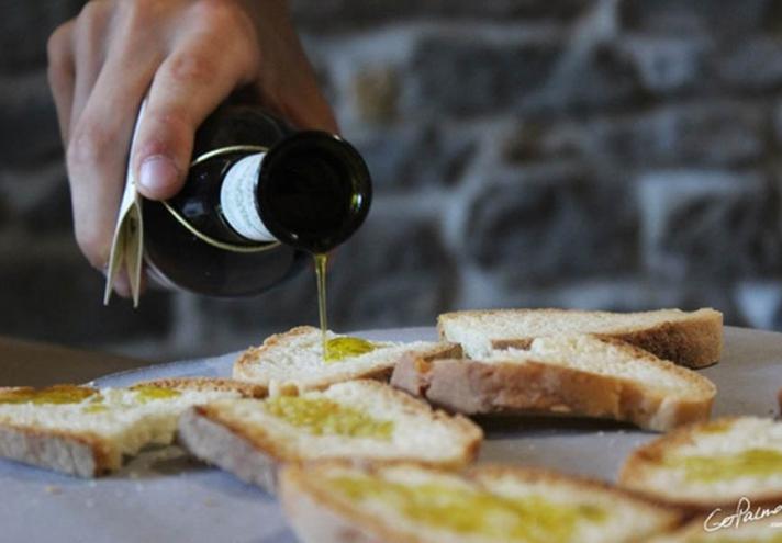 Olive tree and Olive Oil Festival